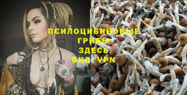 ешки Белоозёрский