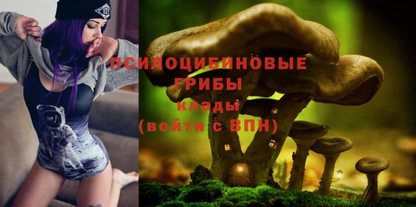 ешки Белоозёрский